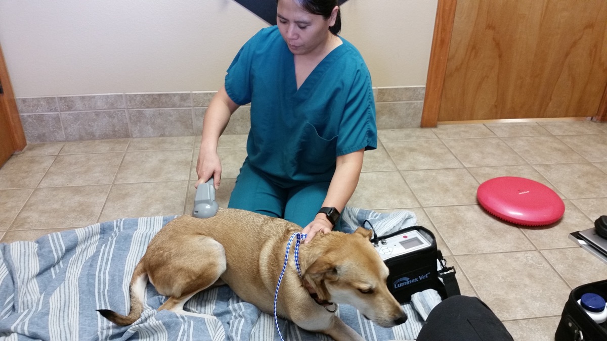 Kokopelli Integrative Veterinary Care Veterinary