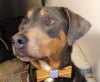Success Story: Aeris