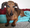 Success Story: Casey