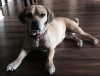 Success Story: Jade