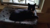 Success Story: Ernie