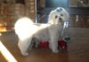 Success Story: Chloe